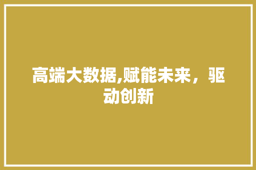 高端大数据,赋能未来，驱动创新