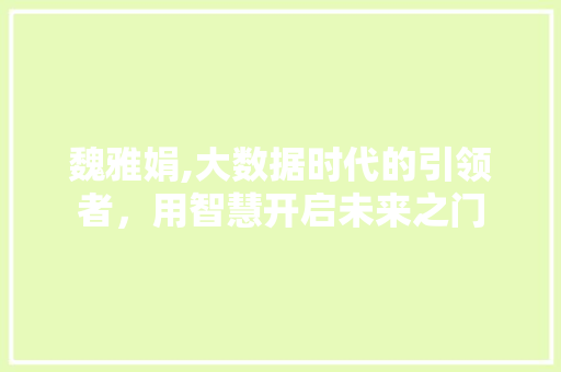 魏雅娟,大数据时代的引领者，用智慧开启未来之门 百度SEO