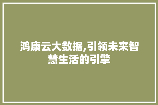 鸿康云大数据,引领未来智慧生活的引擎