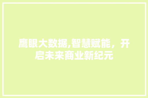 鹰眼大数据,智慧赋能，开启未来商业新纪元