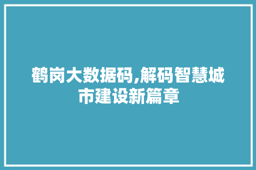 鹤岗大数据码,解码智慧城市建设新篇章