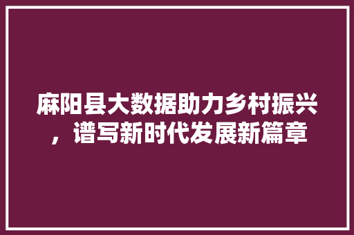 麻阳县大数据助力乡村振兴，谱写新时代发展新篇章 百度SEO