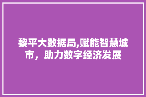 黎平大数据局,赋能智慧城市，助力数字经济发展