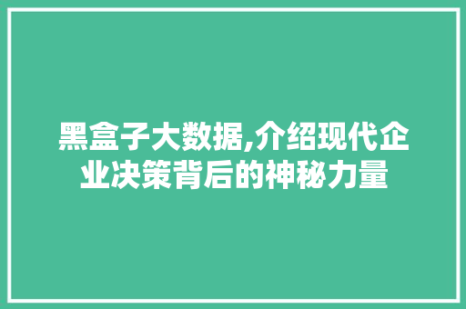 黑盒子大数据,介绍现代企业决策背后的神秘力量