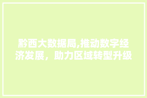黔西大数据局,推动数字经济发展，助力区域转型升级
