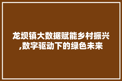 龙坝镇大数据赋能乡村振兴,数字驱动下的绿色未来