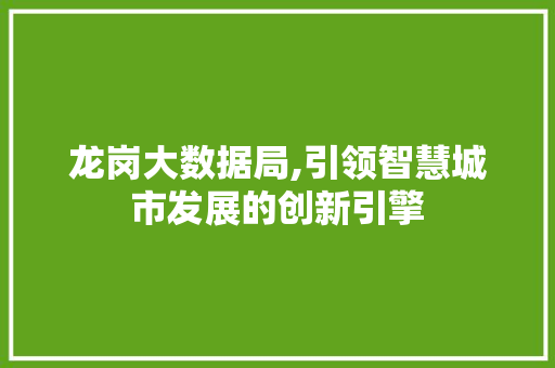 龙岗大数据局,引领智慧城市发展的创新引擎