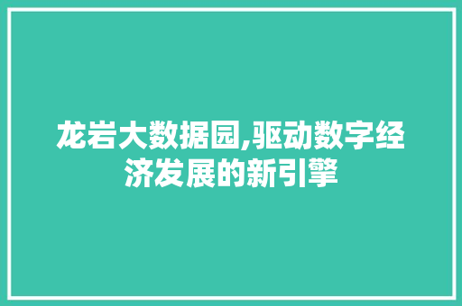 龙岩大数据园,驱动数字经济发展的新引擎