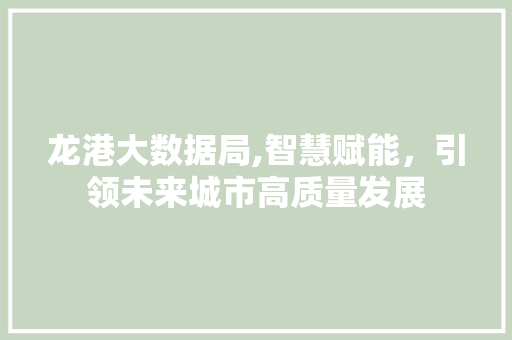 龙港大数据局,智慧赋能，引领未来城市高质量发展 搜狗SEO