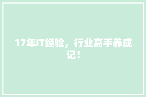 17年IT经验，行业高手养成记！