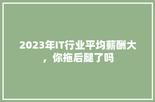 2023年IT行业平均薪酬大，你拖后腿了吗