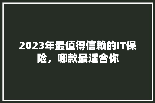2023年最值得信赖的IT保险，哪款最适合你 百度SEO