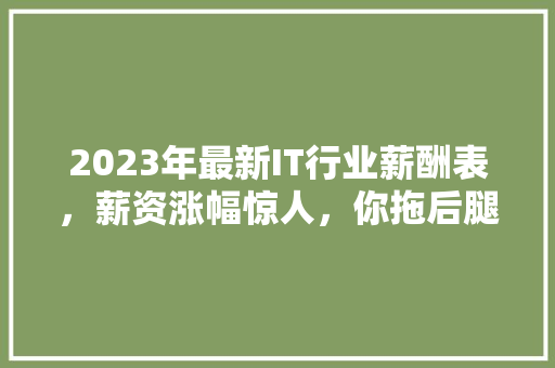 2023年最新IT行业薪酬表，薪资涨幅惊人，你拖后腿了吗 百度SEO