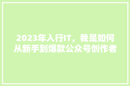 2023年入行IT，我是如何从新手到爆款公众号创作者的 网站建设公司