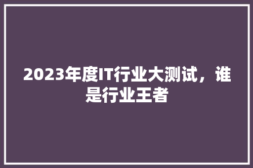 2023年度IT行业大测试，谁是行业王者