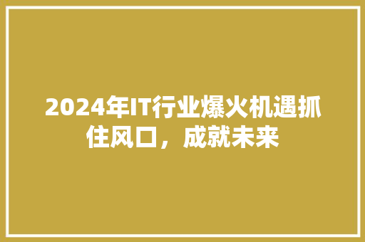 2024年IT行业爆火机遇抓住风口，成就未来 神马SEO