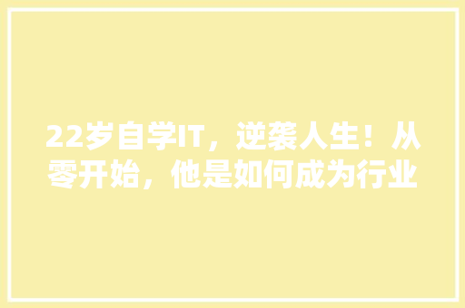 22岁自学IT，逆袭人生！从零开始，他是如何成为行业佼佼者的 百度SEO