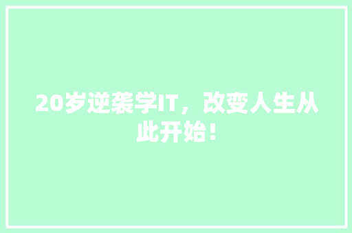 20岁逆袭学IT，改变人生从此开始！