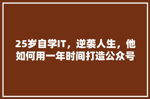 25岁自学IT，逆袭人生，他如何用一年时间打造公众号爆款