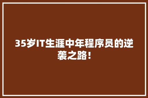 35岁IT生涯中年程序员的逆袭之路！ 必应SEO
