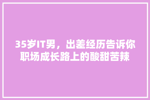 35岁IT男，出差经历告诉你职场成长路上的酸甜苦辣