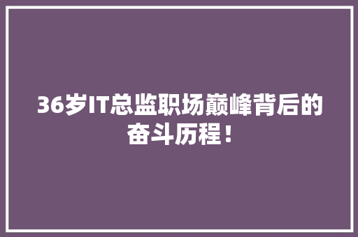 36岁IT总监职场巅峰背后的奋斗历程！ 网站建设公司