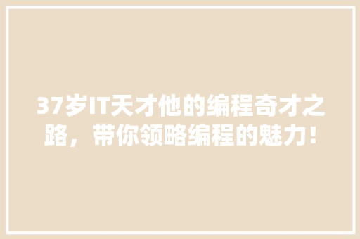 37岁IT天才他的编程奇才之路，带你领略编程的魅力！