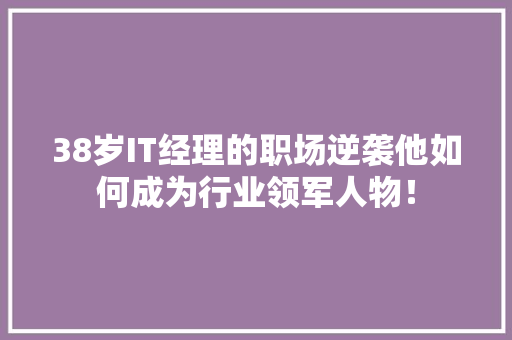 38岁IT经理的职场逆袭他如何成为行业领军人物！