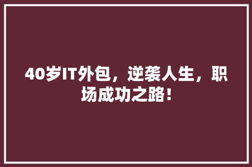 40岁IT外包，逆袭人生，职场成功之路！