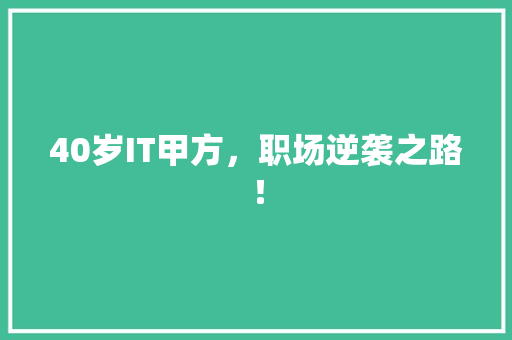 40岁IT甲方，职场逆袭之路！