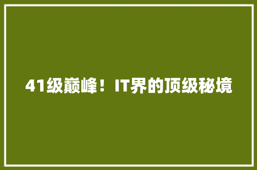 41级巅峰！IT界的顶级秘境