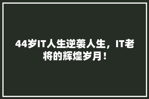 44岁IT人生逆袭人生，IT老将的辉煌岁月！ 网站建设公司