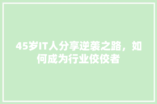 45岁IT人分享逆袭之路，如何成为行业佼佼者