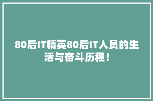 80后IT精英80后IT人员的生活与奋斗历程！