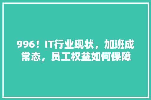 996！IT行业现状，加班成常态，员工权益如何保障