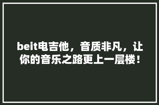 beit电吉他，音质非凡，让你的音乐之路更上一层楼！