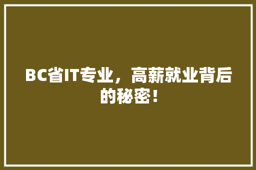BC省IT专业，高薪就业背后的秘密！ SEO关键词