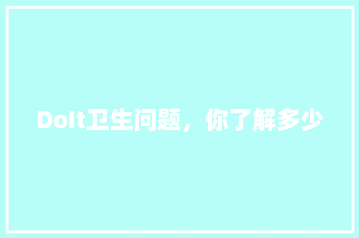 DoIt卫生问题，你了解多少