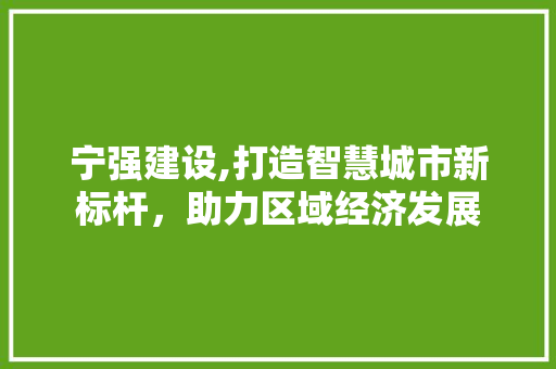 宁强建设,打造智慧城市新标杆，助力区域经济发展