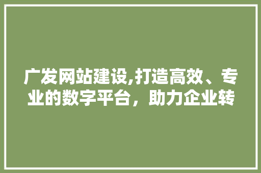 广发网站建设,打造高效、专业的数字平台，助力企业转型升级