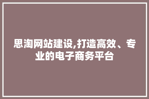 思淘网站建设,打造高效、专业的电子商务平台