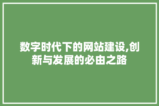 数字时代下的网站建设,创新与发展的必由之路