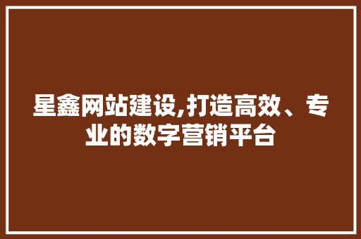 星鑫网站建设,打造高效、专业的数字营销平台