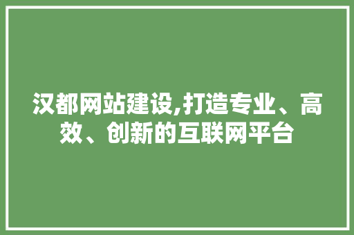 汉都网站建设,打造专业、高效、创新的互联网平台