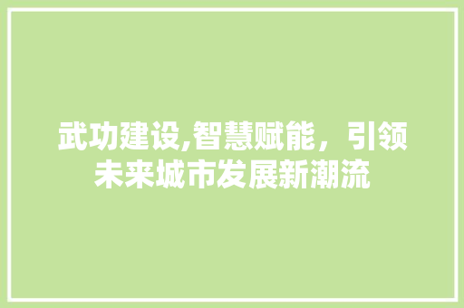 武功建设,智慧赋能，引领未来城市发展新潮流 SEO关键词