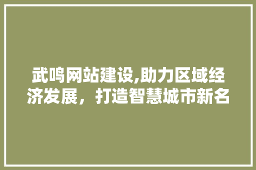 武鸣网站建设,助力区域经济发展，打造智慧城市新名片