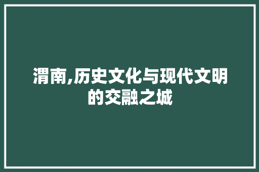 渭南,历史文化与现代文明的交融之城 网站建设公司