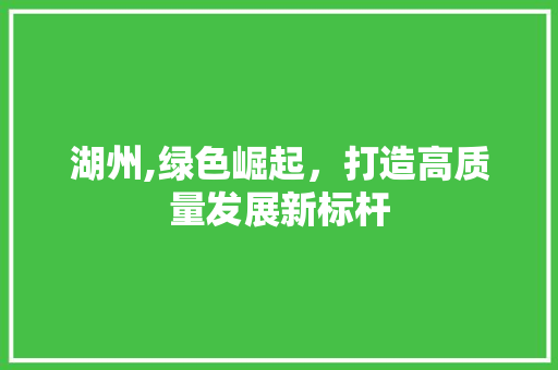 湖州,绿色崛起，打造高质量发展新标杆 SEO关键词
