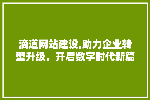 滴道网站建设,助力企业转型升级，开启数字时代新篇章