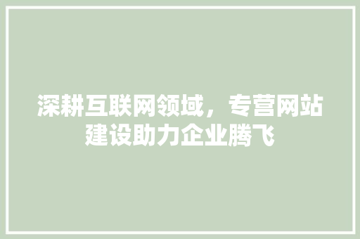 深耕互联网领域，专营网站建设助力企业腾飞 网站建设公司